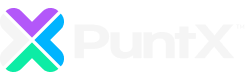 PuntX logo